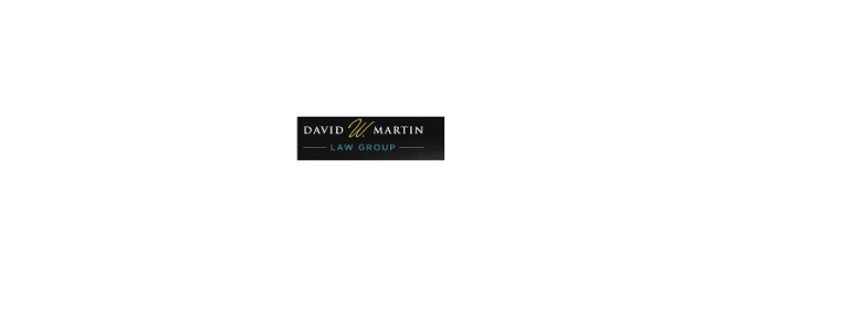 david martin logo 768x300