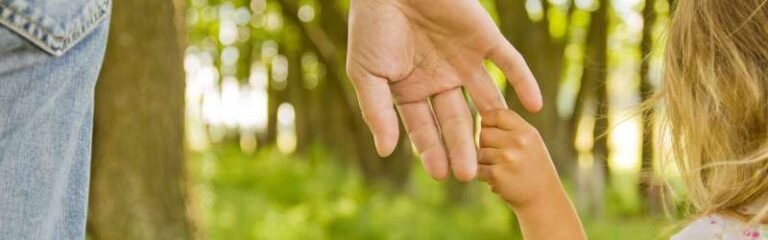 Child support lawyer 768x240