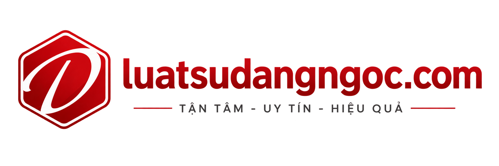 logo luatsudangngoc.com