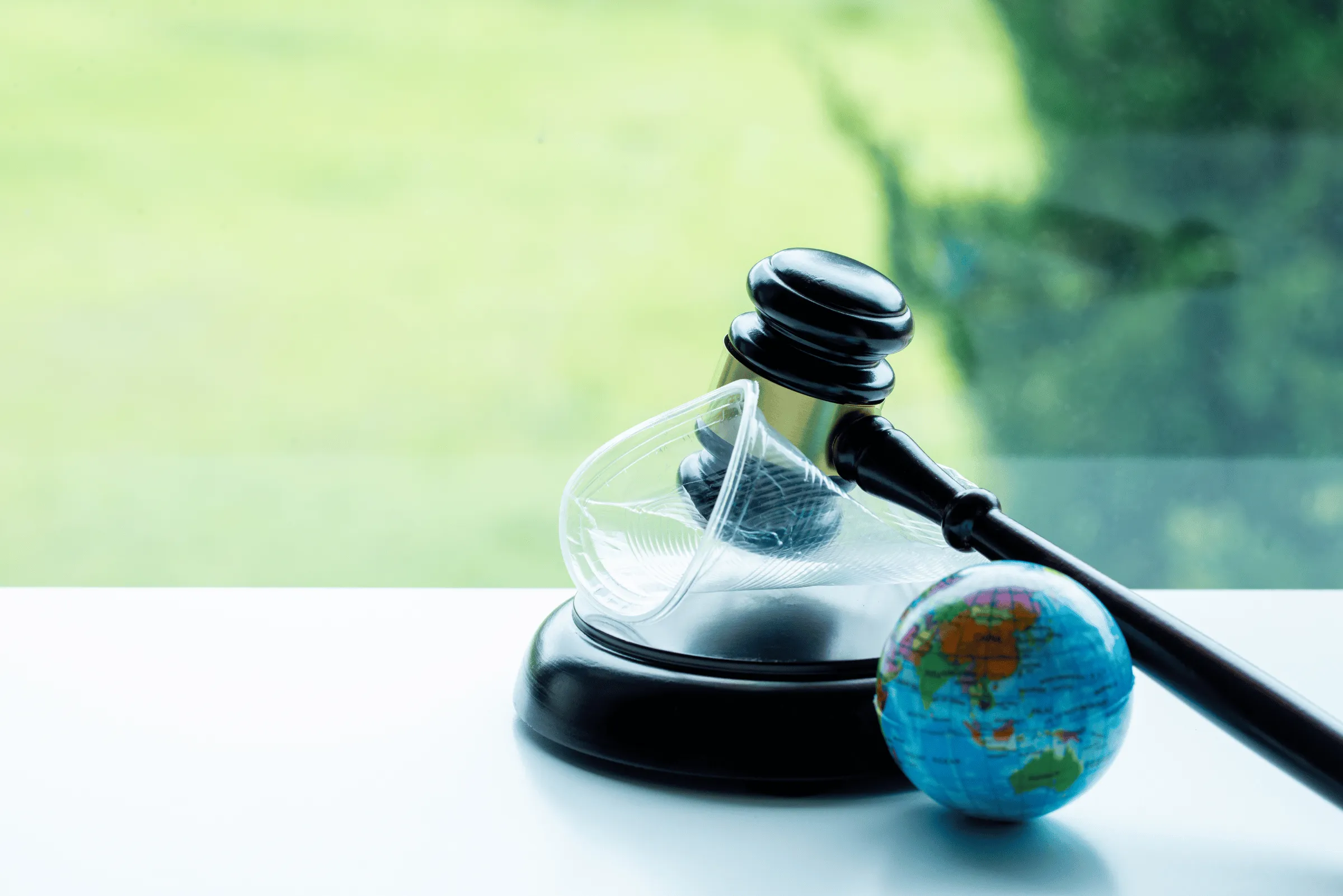 Guardians of the Planet: The Essential Role of Environmental Lawyers